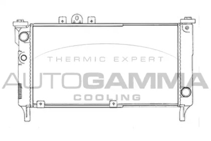 Теплообменник AUTOGAMMA 100981