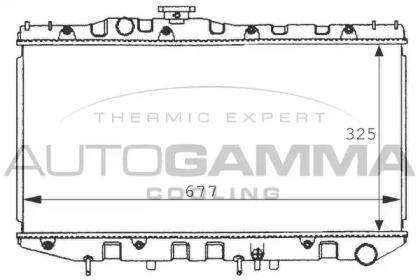 Теплообменник AUTOGAMMA 100990