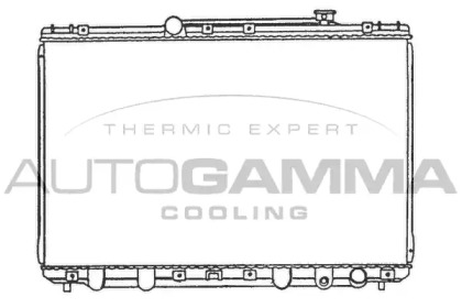 Теплообменник AUTOGAMMA 100991