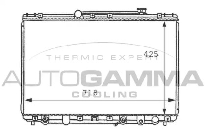 Теплообменник AUTOGAMMA 100992