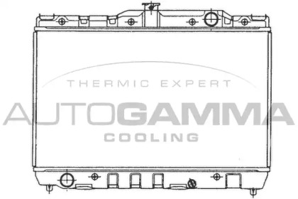 Теплообменник AUTOGAMMA 101001