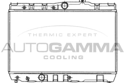 Теплообменник AUTOGAMMA 101002