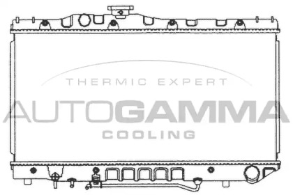 Теплообменник AUTOGAMMA 101006
