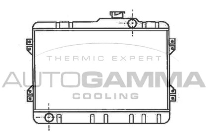 Теплообменник AUTOGAMMA 101009