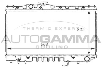 Теплообменник AUTOGAMMA 101012