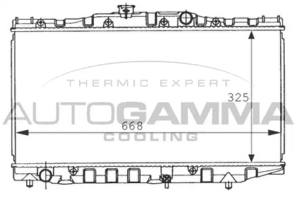 Теплообменник AUTOGAMMA 101013