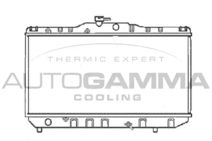 Теплообменник AUTOGAMMA 101016