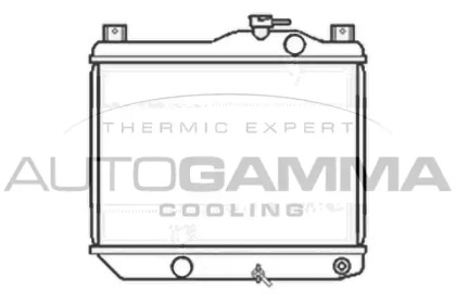 Теплообменник AUTOGAMMA 101032