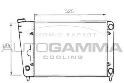 Радиатор, охлаждение двигателя AUTOGAMMA 101048
