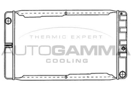 Теплообменник AUTOGAMMA 101104