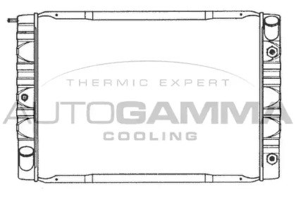 Теплообменник AUTOGAMMA 101113