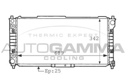 Теплообменник AUTOGAMMA 101132