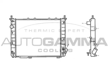 Теплообменник AUTOGAMMA 101184