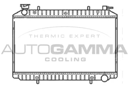 Теплообменник AUTOGAMMA 101222