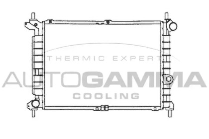 Теплообменник AUTOGAMMA 101224