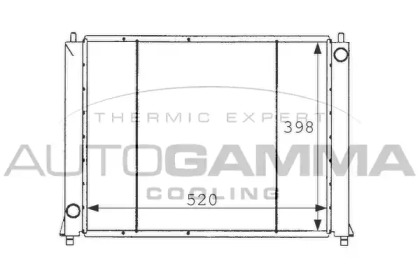 Теплообменник AUTOGAMMA 101255