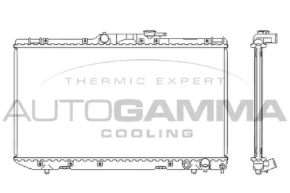 Теплообменник AUTOGAMMA 101271