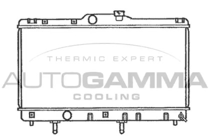 Теплообменник AUTOGAMMA 101272