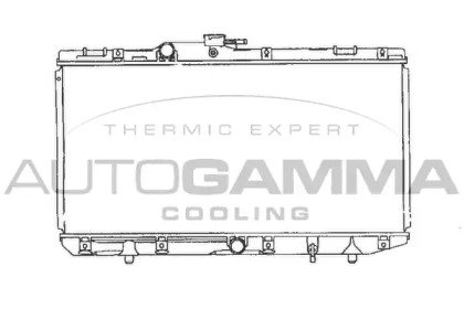 Теплообменник AUTOGAMMA 101278