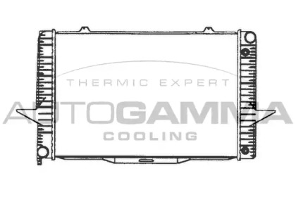 Теплообменник AUTOGAMMA 101291