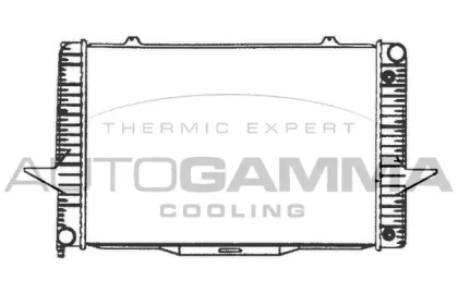 Теплообменник AUTOGAMMA 101292
