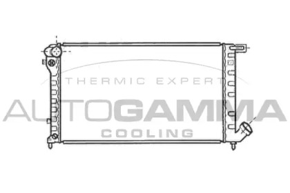 Теплообменник AUTOGAMMA 101301