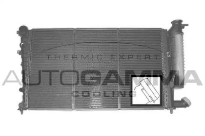 Теплообменник AUTOGAMMA 101313