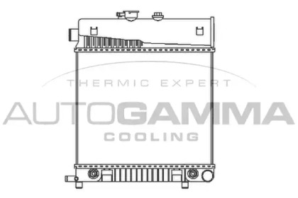 Теплообменник AUTOGAMMA 101315