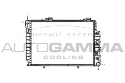 Теплообменник AUTOGAMMA 101316