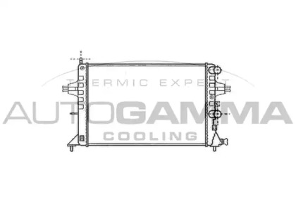Теплообменник AUTOGAMMA 101338
