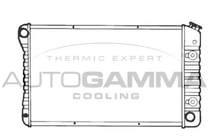 Теплообменник AUTOGAMMA 101370