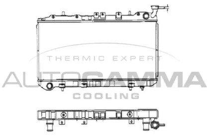 Теплообменник AUTOGAMMA 101391