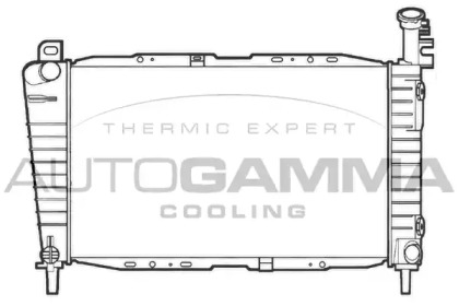 Теплообменник AUTOGAMMA 101428