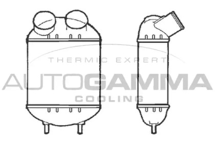 Теплообменник AUTOGAMMA 101476