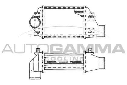 Теплообменник AUTOGAMMA 101481