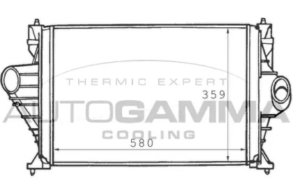 Теплообменник AUTOGAMMA 101487