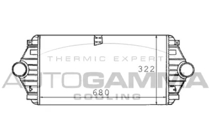 Интеркулер AUTOGAMMA 101491