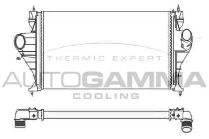 Интеркулер AUTOGAMMA 101492