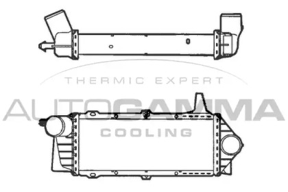 Теплообменник AUTOGAMMA 101505