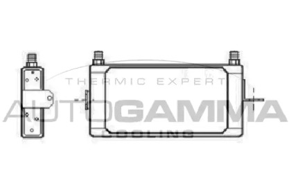 Теплообменник AUTOGAMMA 101517