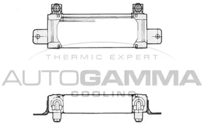 Теплообменник AUTOGAMMA 101518