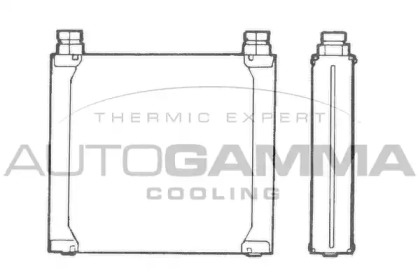 Теплообменник AUTOGAMMA 101545