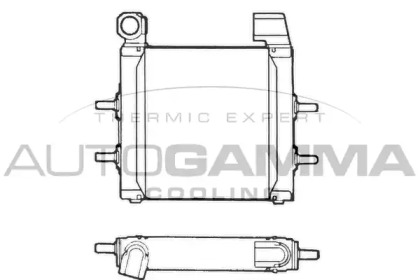 Теплообменник AUTOGAMMA 101546