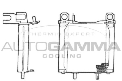 Теплообменник AUTOGAMMA 101548