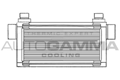 Теплообменник AUTOGAMMA 101555