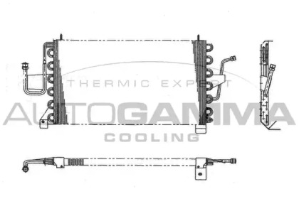 Конденсатор AUTOGAMMA 101600