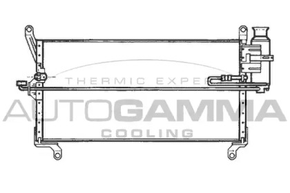 Конденсатор AUTOGAMMA 101741