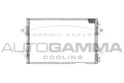 Конденсатор AUTOGAMMA 101841