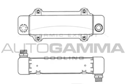 Теплообменник AUTOGAMMA 101867