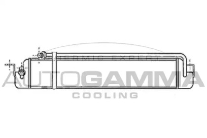 Теплообменник AUTOGAMMA 101878